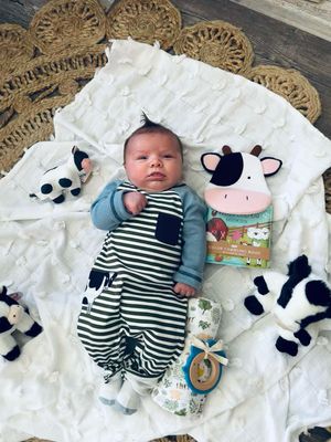 Cow Striped Romper