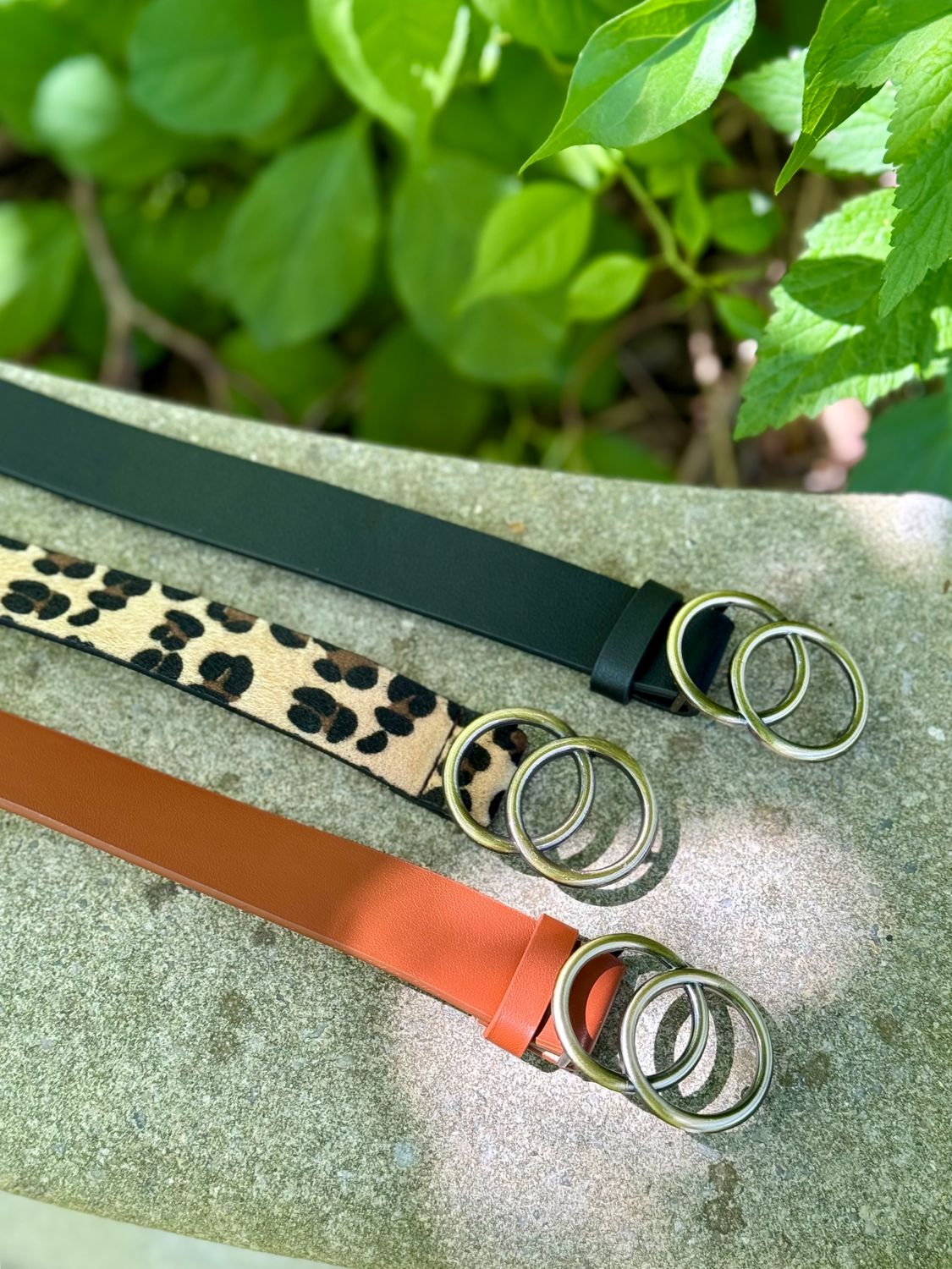 Double O-Ring Belt 