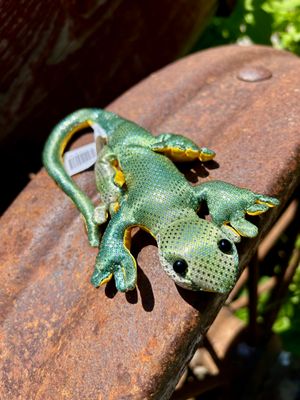 Rainforest Anole Lizard