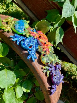 Rainforest Wide Frogs