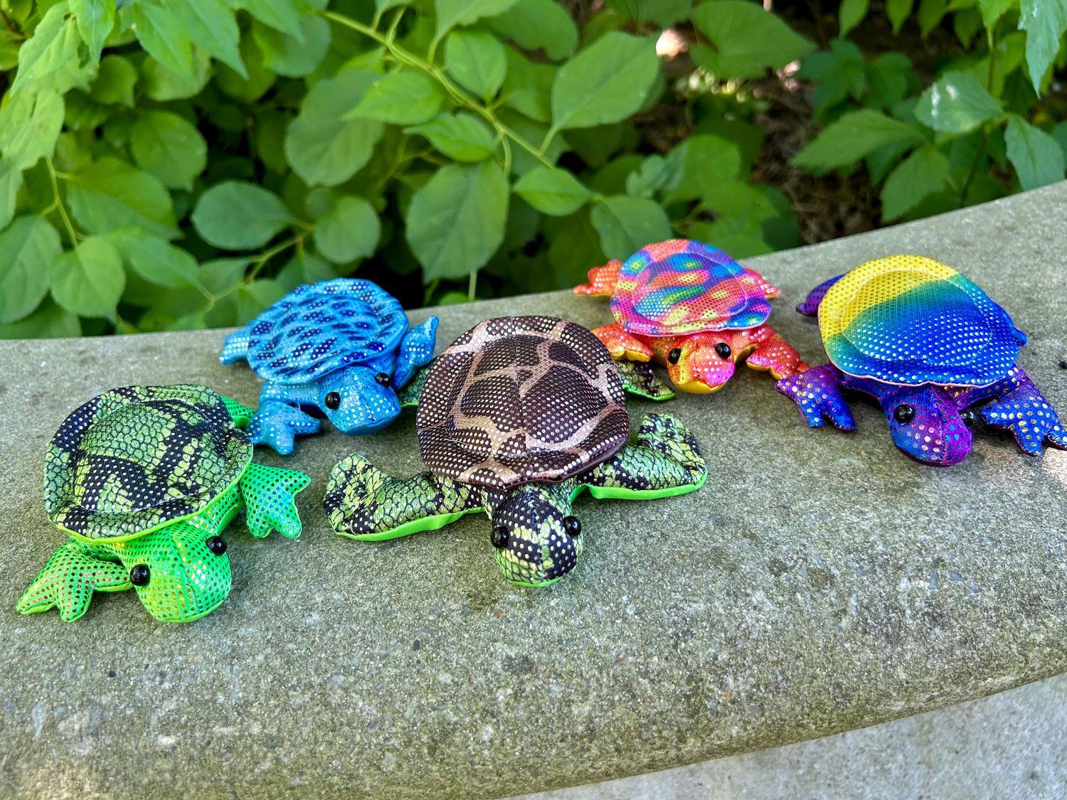 Rainforest Turtle