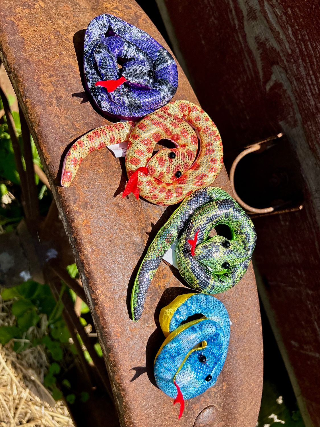 Rainforest Snake