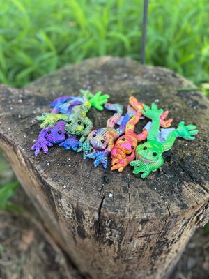 Rainforest Long Leg Frog