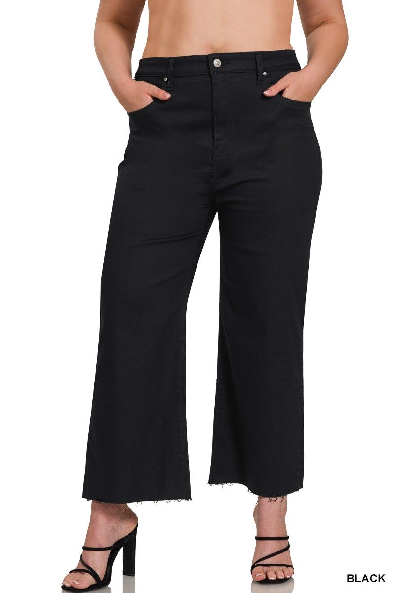 Black Cropped High Rise Flare Denim Pants