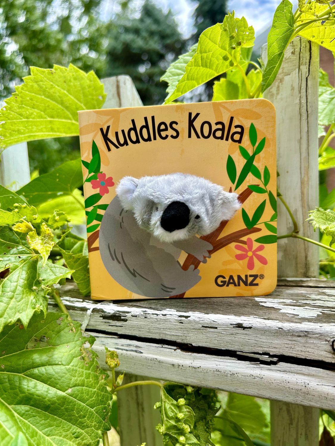 Koala Finger Puppet Book
