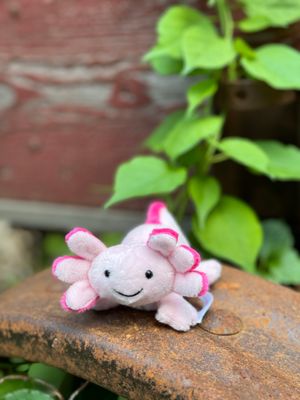 5" Lil' Axton Axolotl Plush