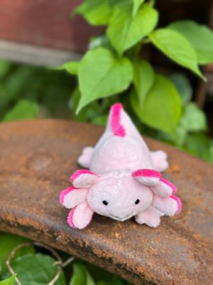 5" Lil' Axton Axolotl Plush