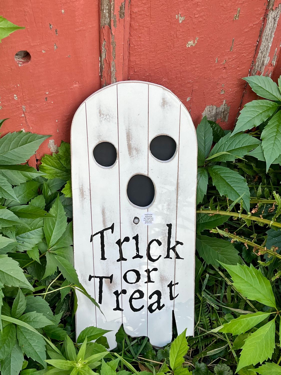 Ghost Wood LED Door Hanger 