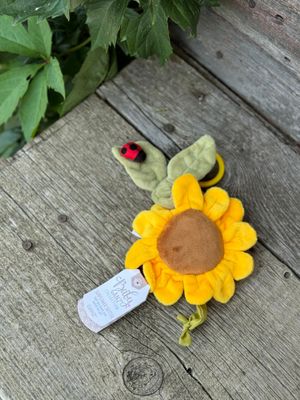 Sunflower Skitter