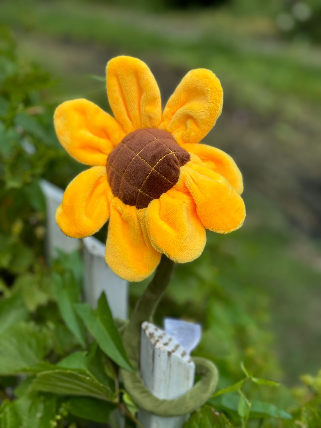 18&quot; Sunshine Sunflower