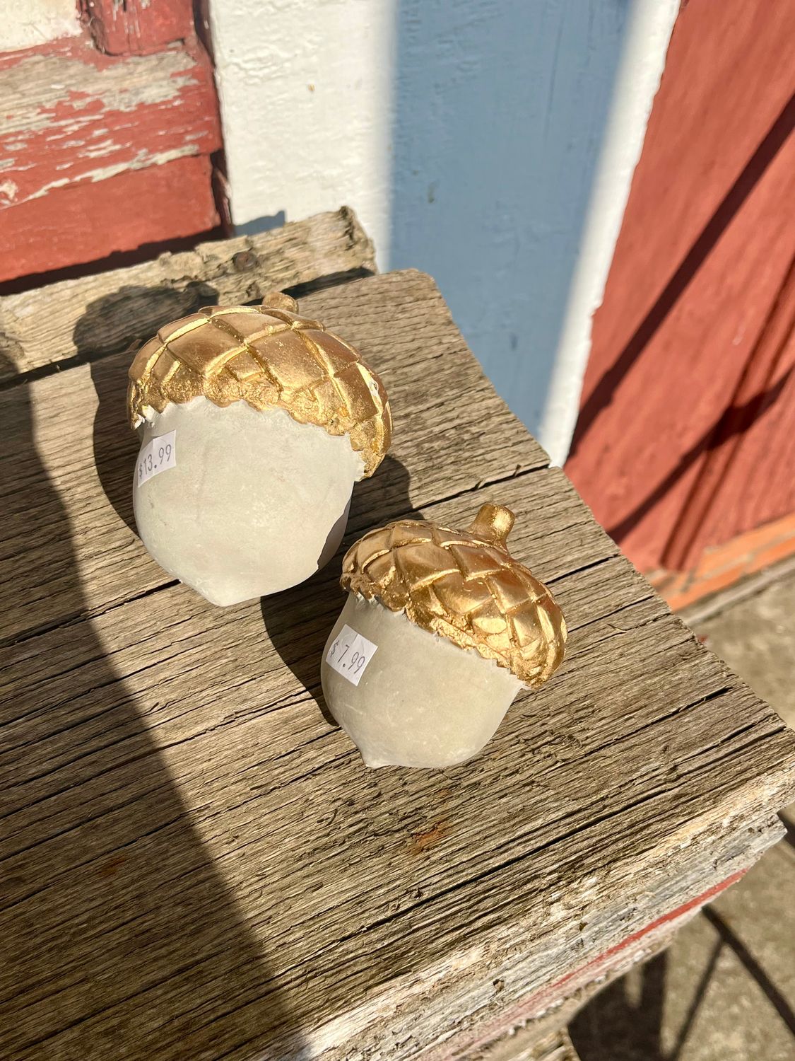 Cement Acorn Sitters