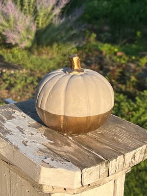 Medium Cement Pumpkin
