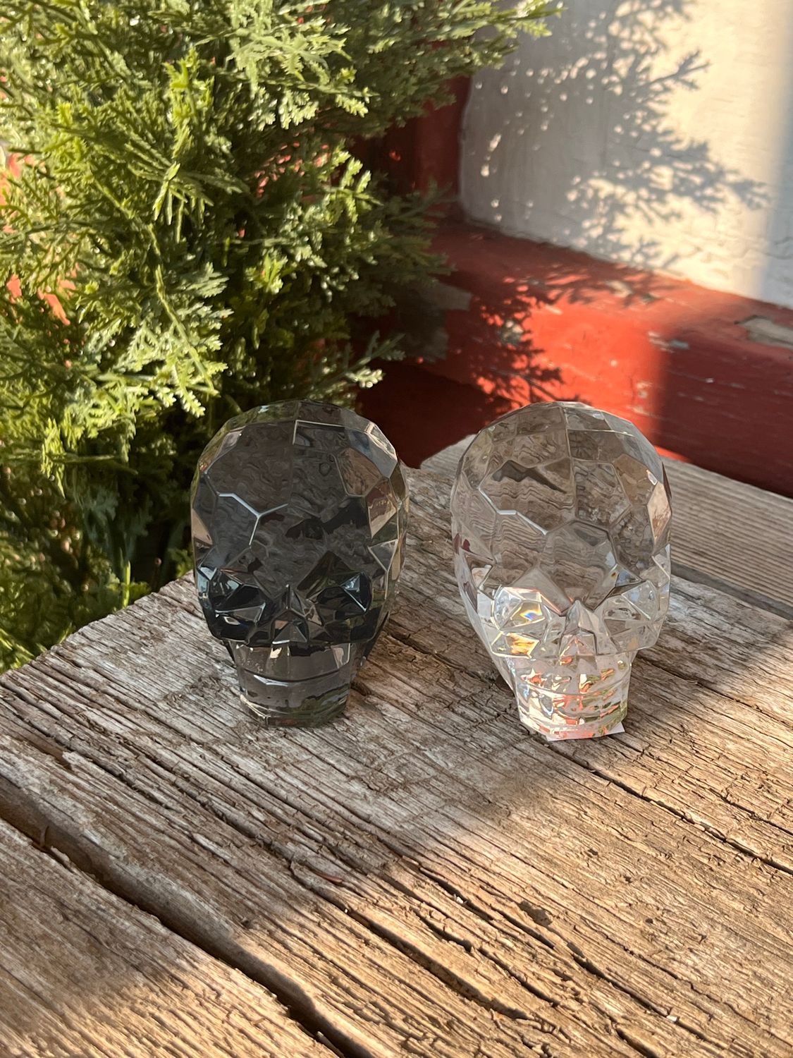 2.5&quot; Acrylic Skulls 