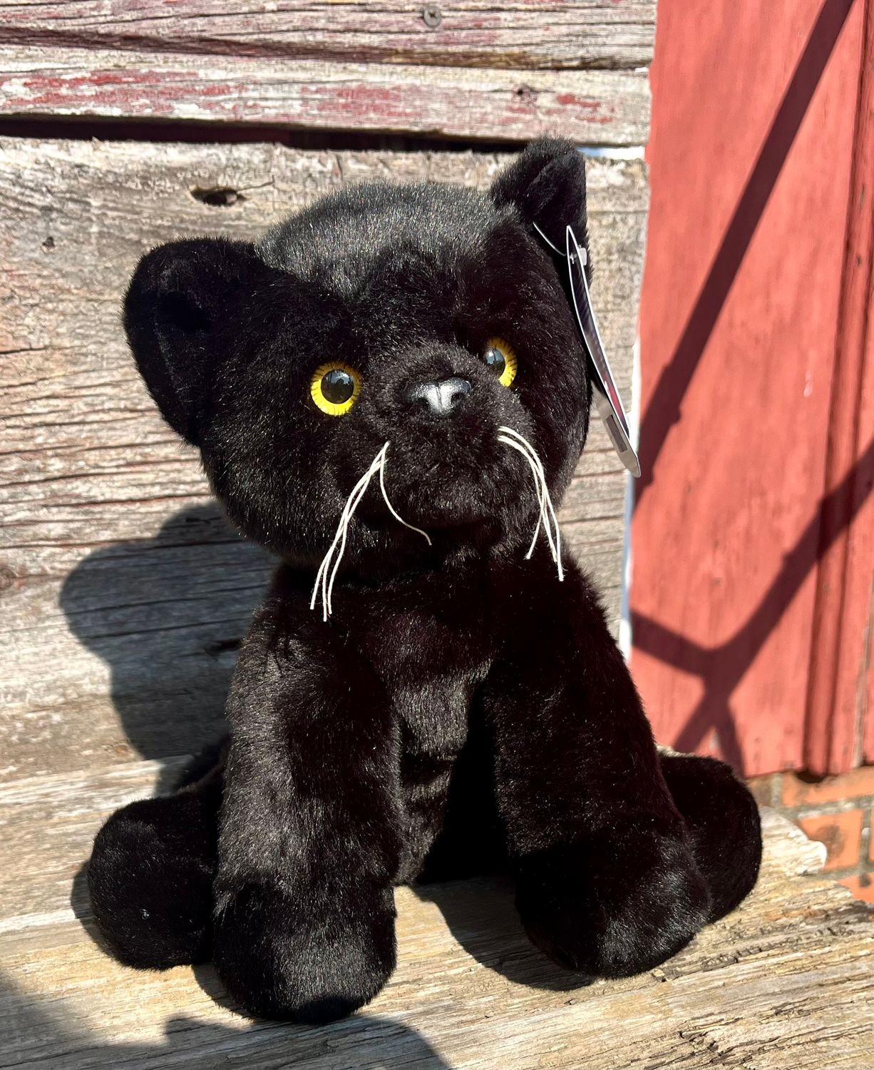 11&quot; Heritage Black Cat