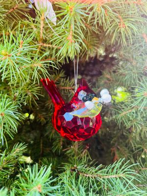 4" Berry Cardinal Ornament 
