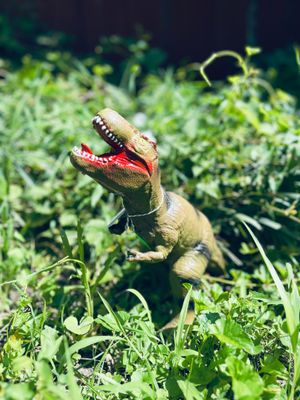 Large Dino Toy W/ Sound