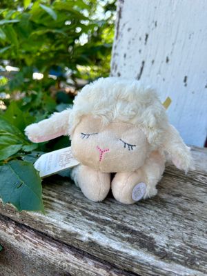11&quot; Silent Night Lamb 