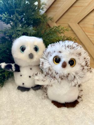 Woodsy Winter Owls