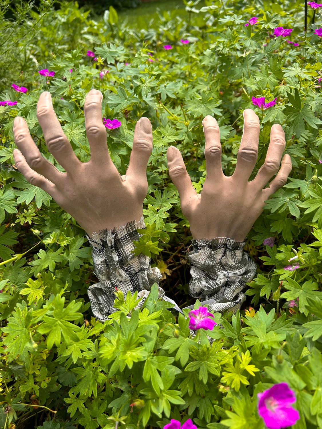 Zombie Arm Stakes
