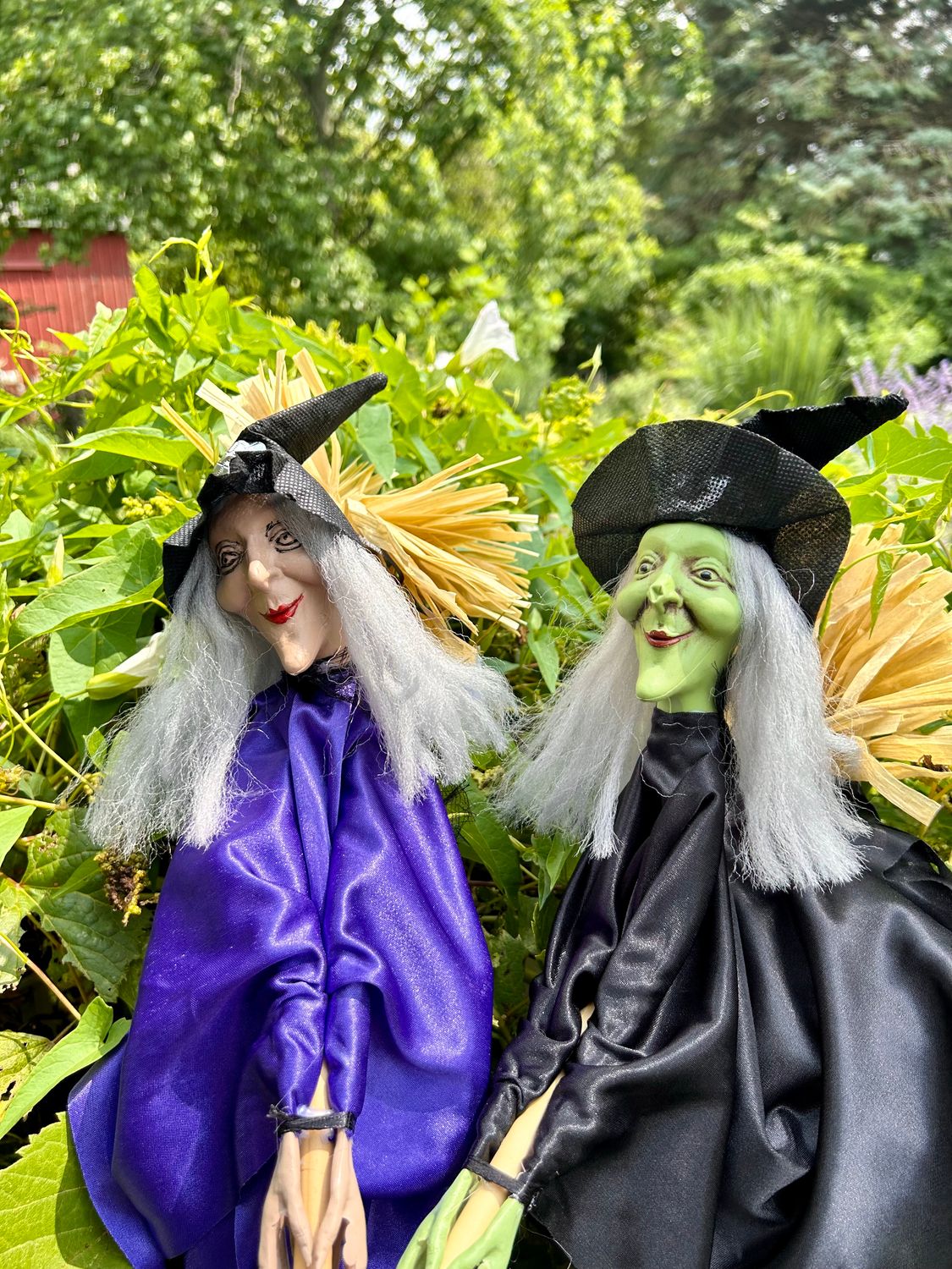 Flying Witches