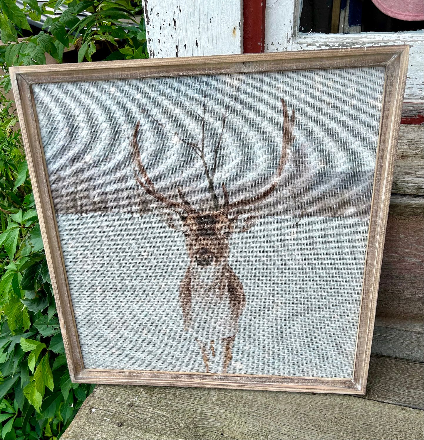 Stag In The Woods Wall Art
