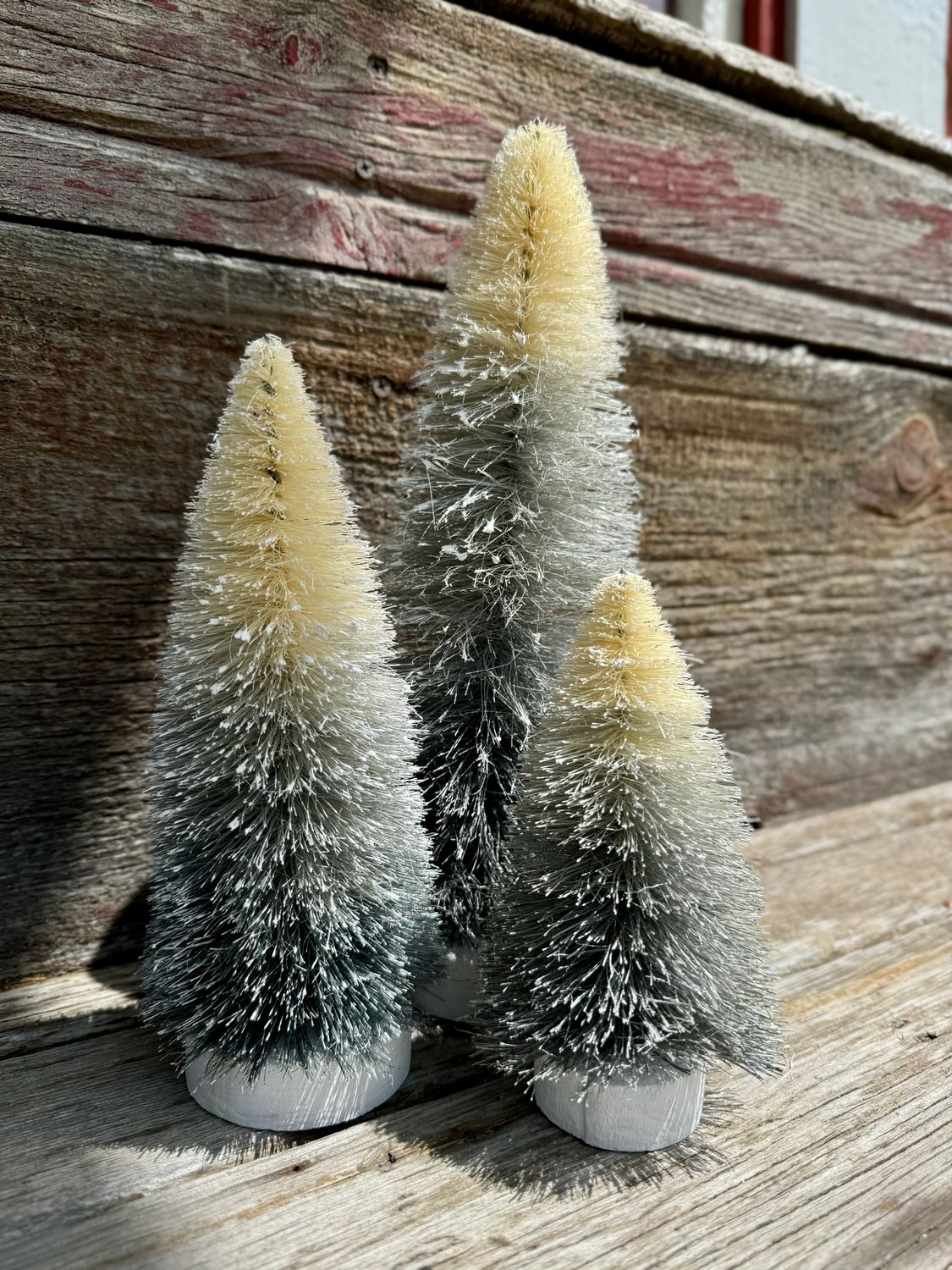 Ombre Silver Tree