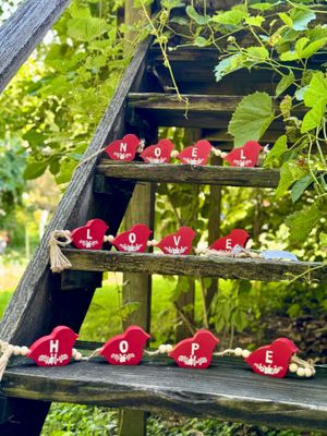Cardinal Bird Sitabout