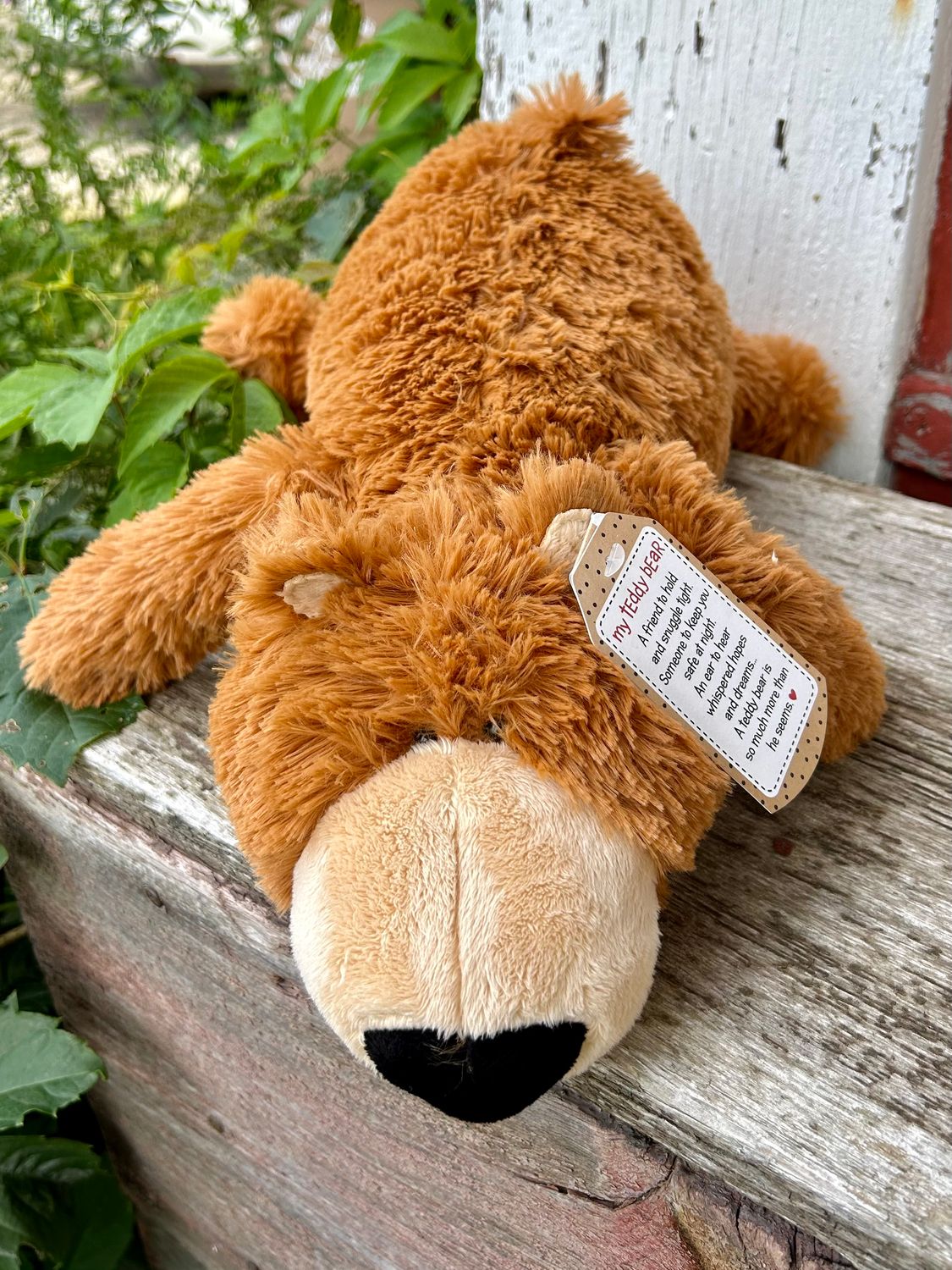 Dooley Bear