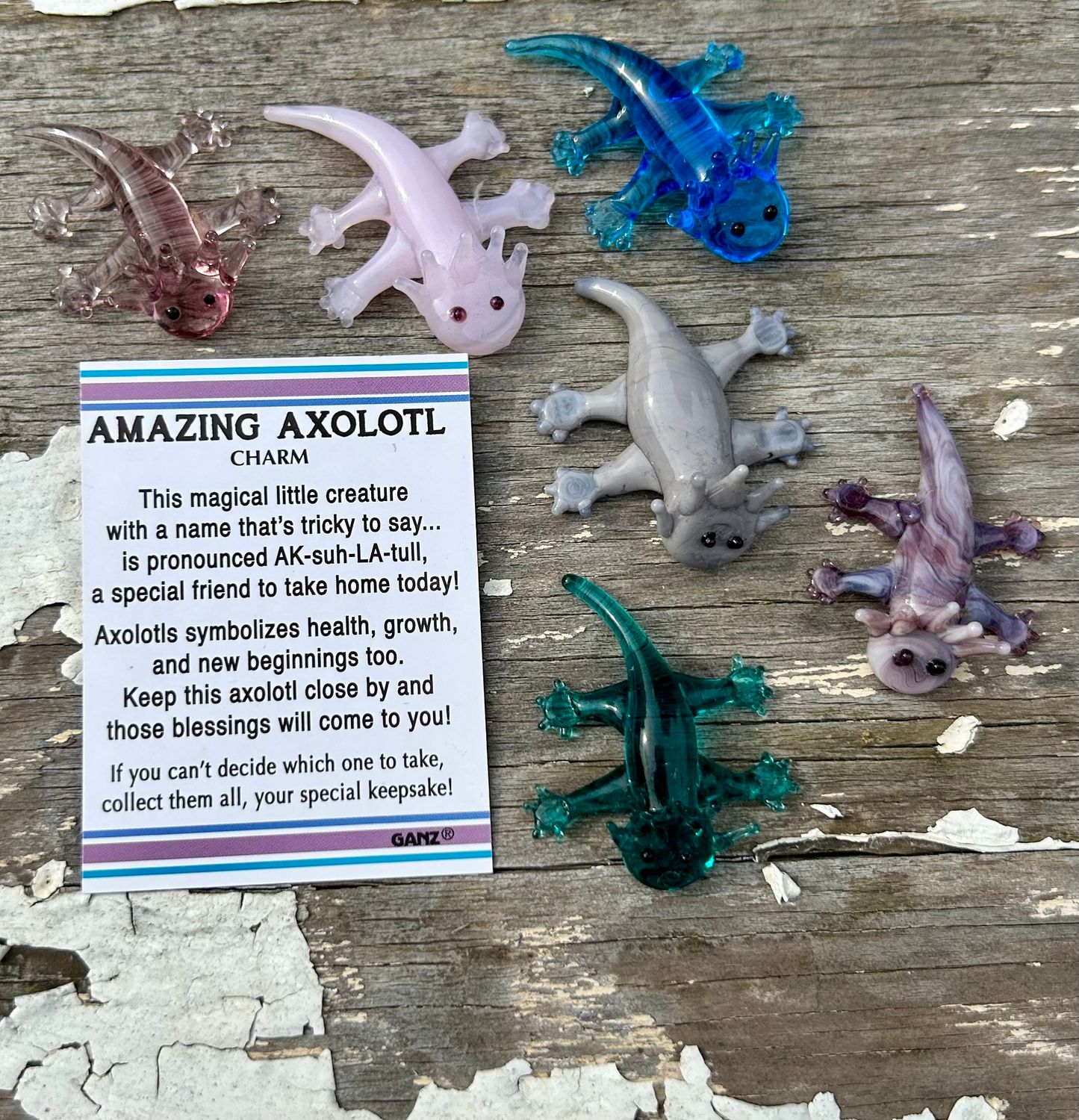 Amazing Axolotl Charms