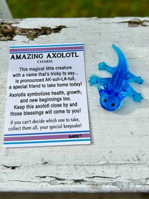 Amazing Axolotl Charms