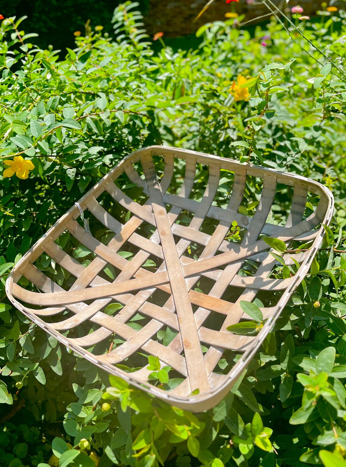 Big Tabacco Basket