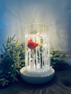 Christmas Cardinal Light Up Decor