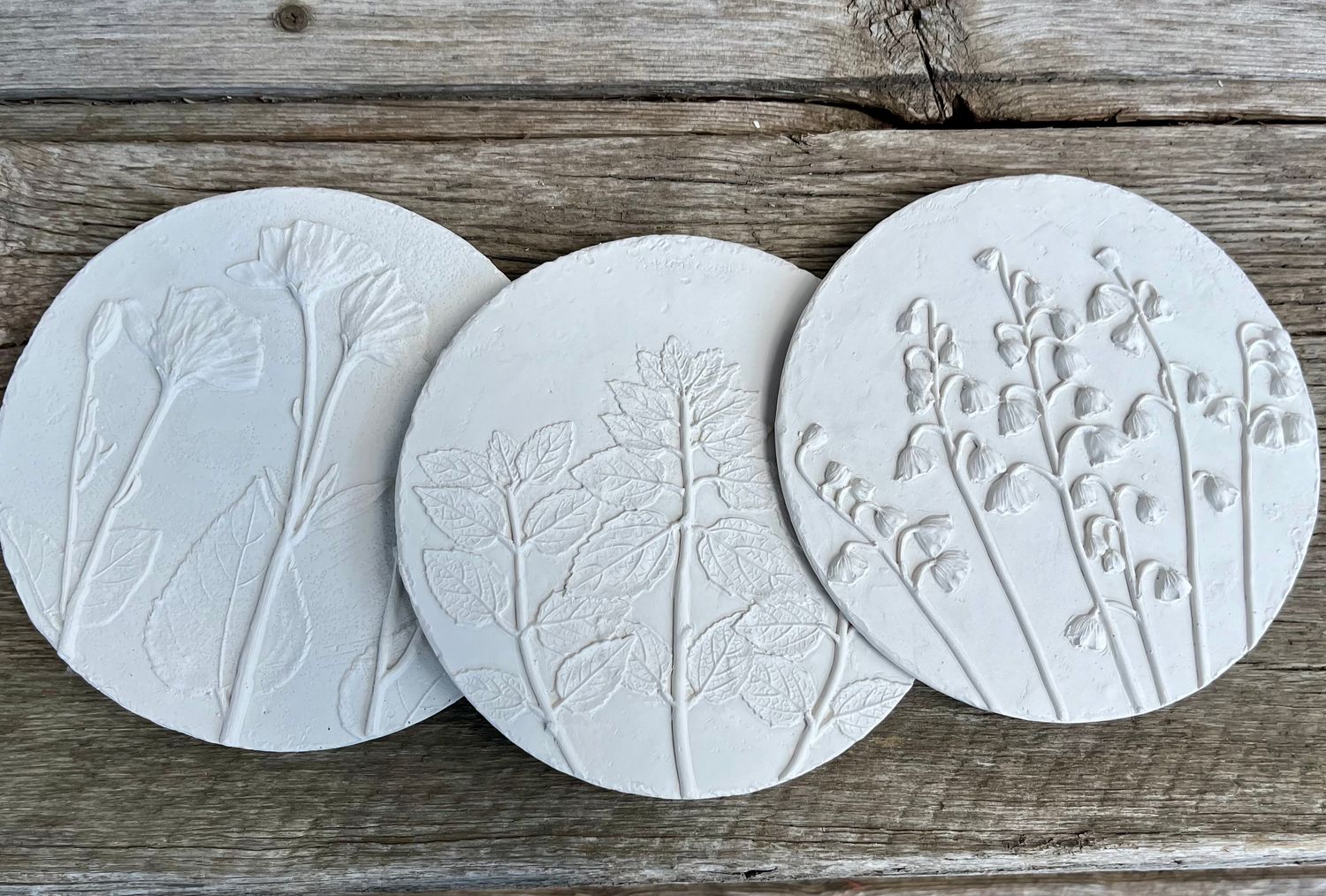 Etched Plaster Wildflower Decor