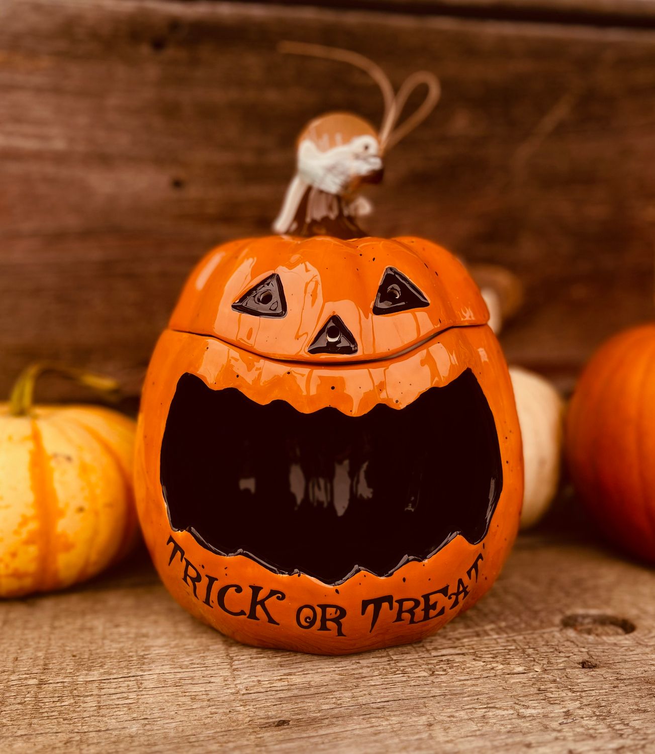 LED Sound Pumpkin Container 