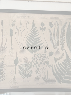 scrolls