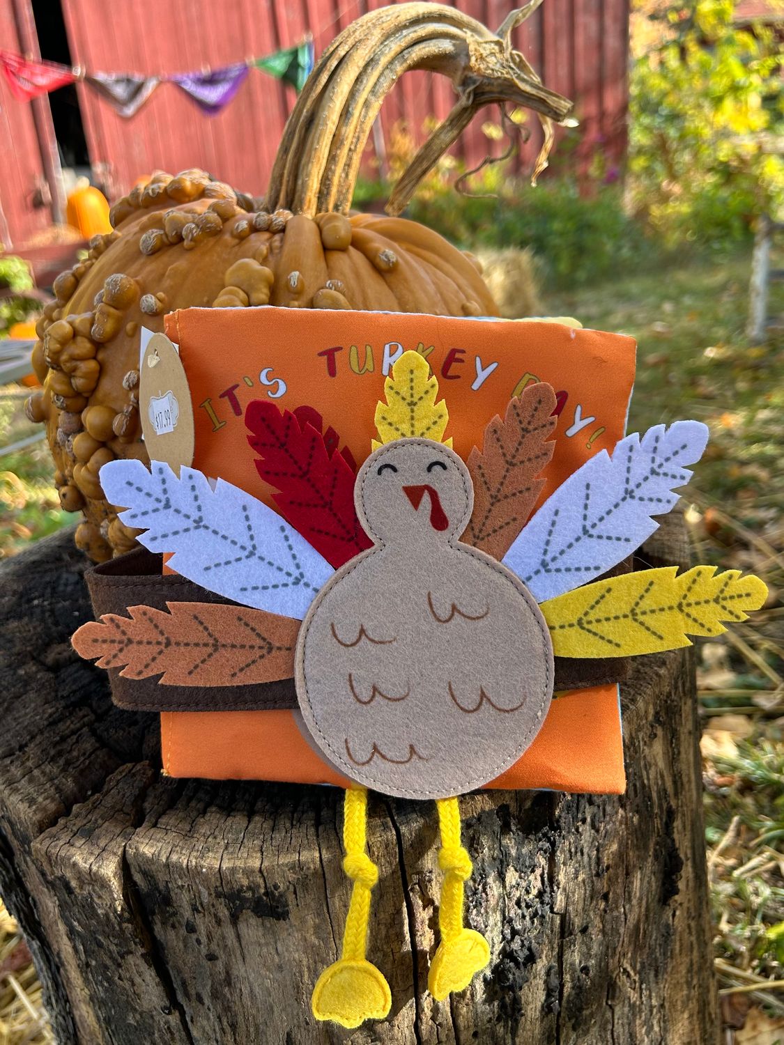 Turkey Day Book w/ Headband