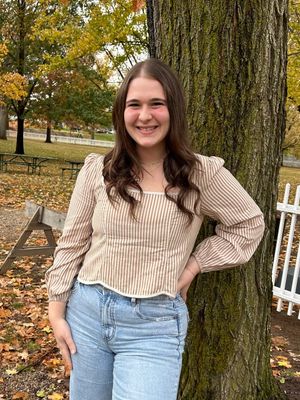 Elusive Striped Long Sleeve Crop Top