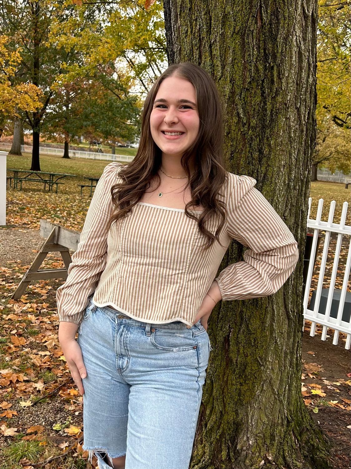 Elusive Striped Long Sleeve Crop Top