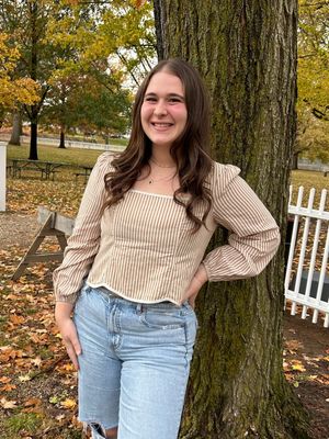 Elusive Striped Long Sleeve Crop Top