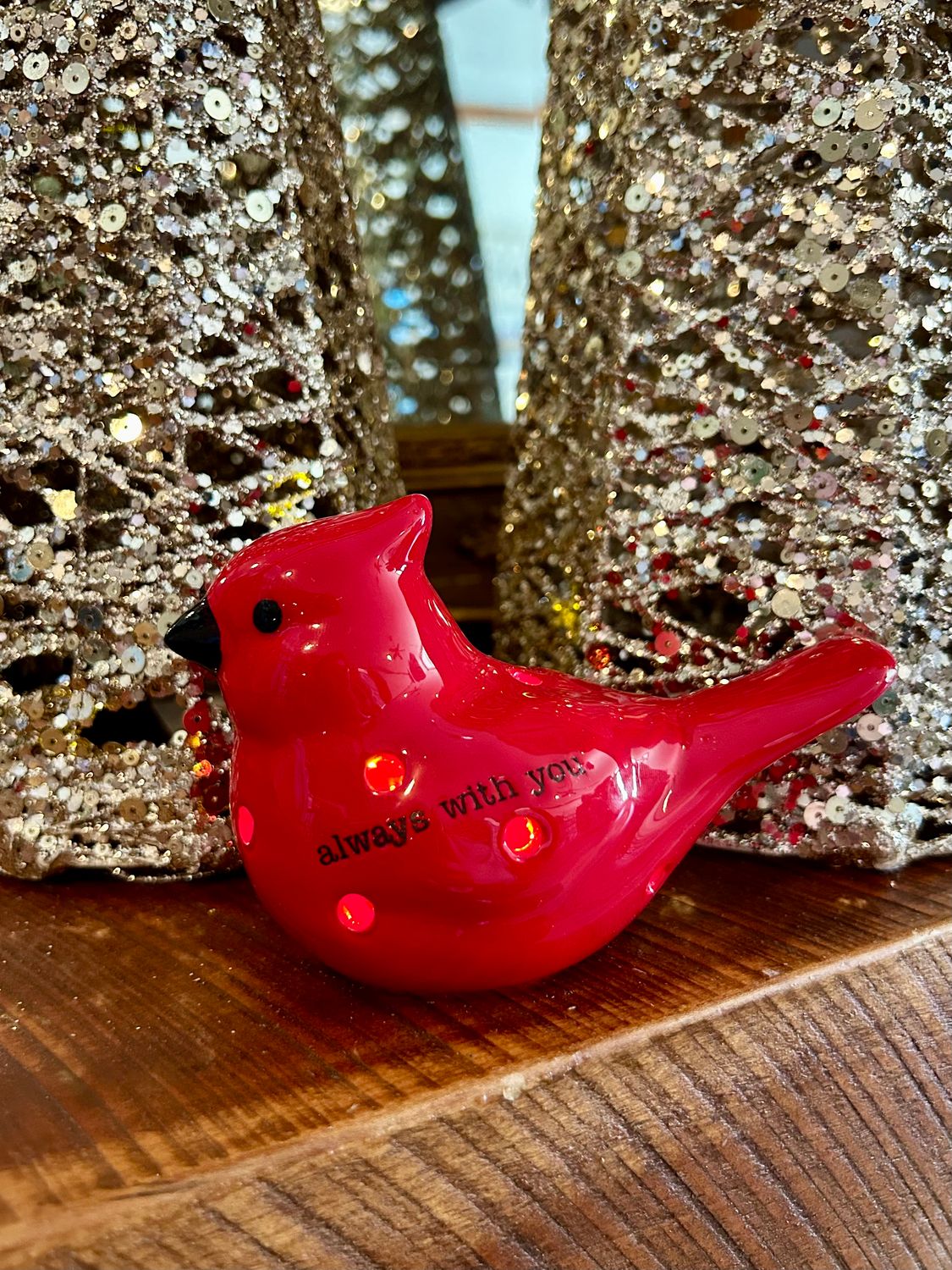 Light Up Cardinal Sitter