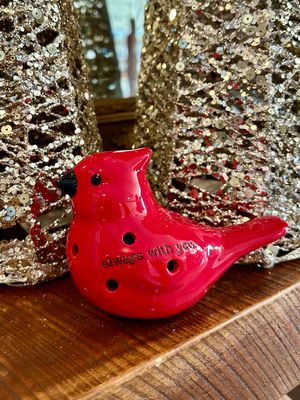 Light Up Cardinal Sitter