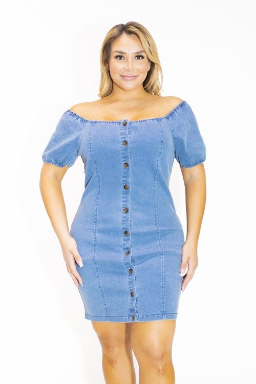 Curvy Denim Button Up Dress