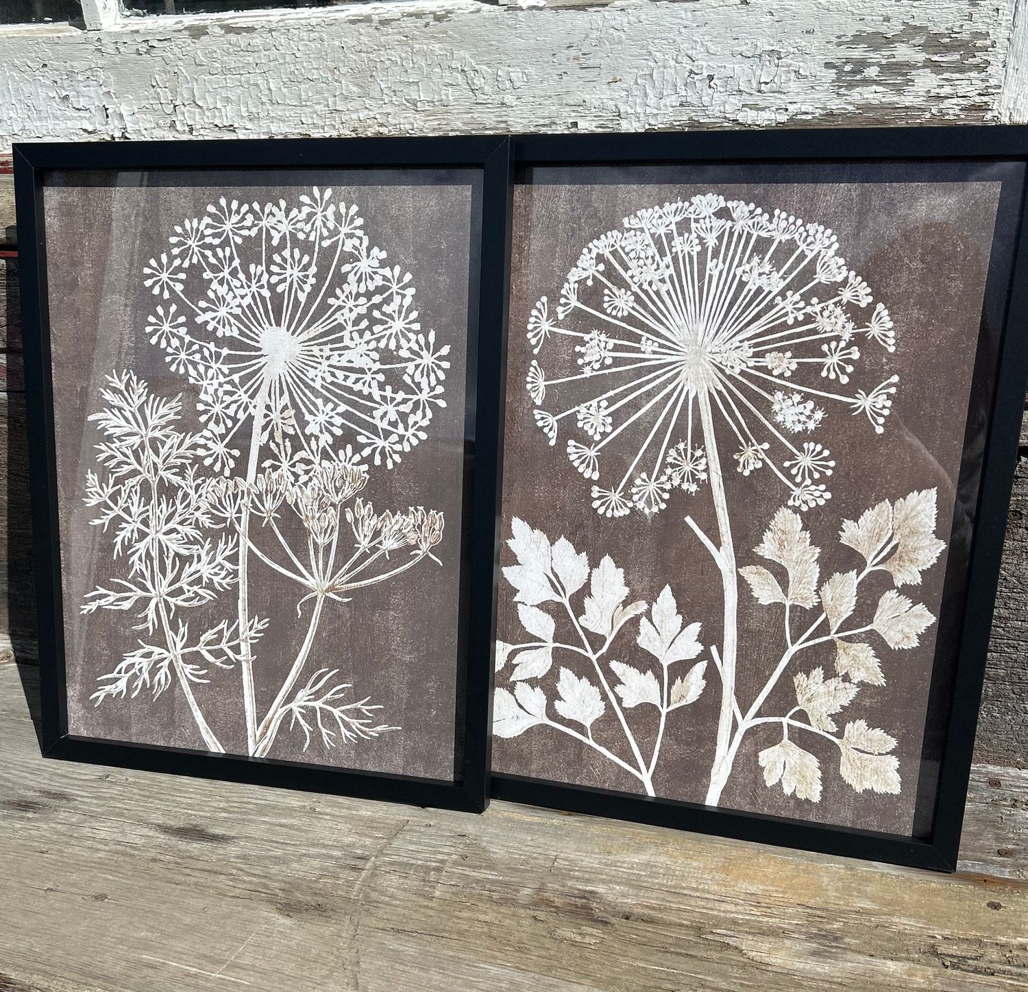 Framed Dandelion Silhouette Decor