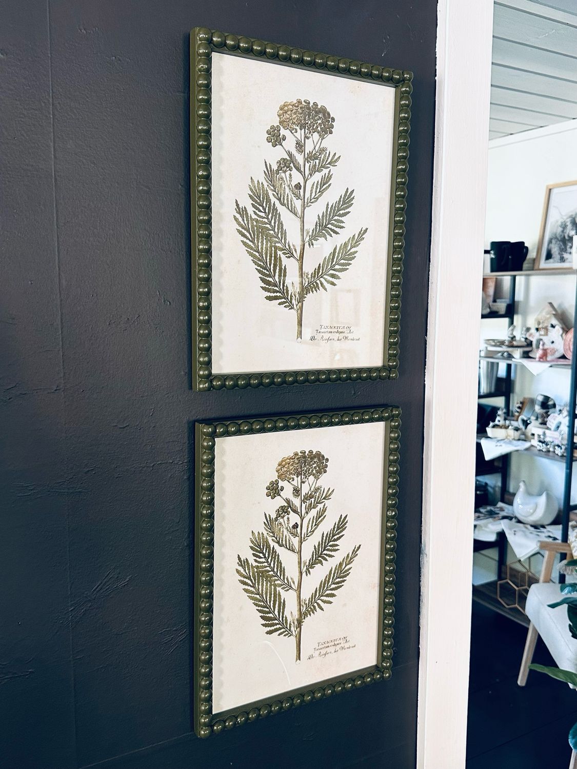 Green Frame Botanical Print