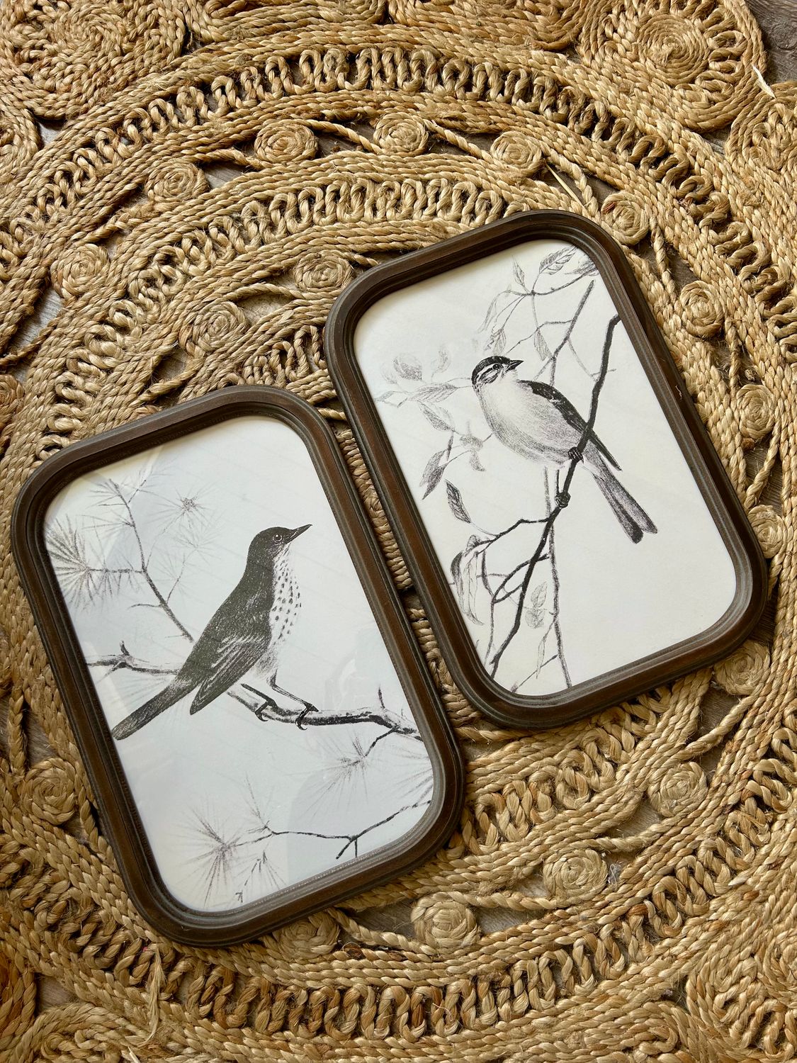 Vintage B&amp;W Bird Wall Decor