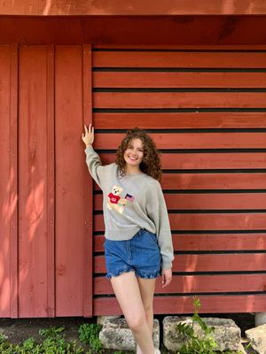 Teddy Bear USA Sweater