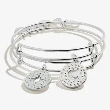 ALEX + ANI