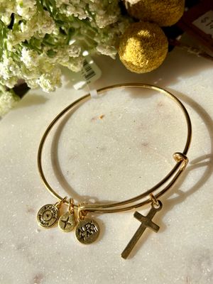 ALEX + ANI