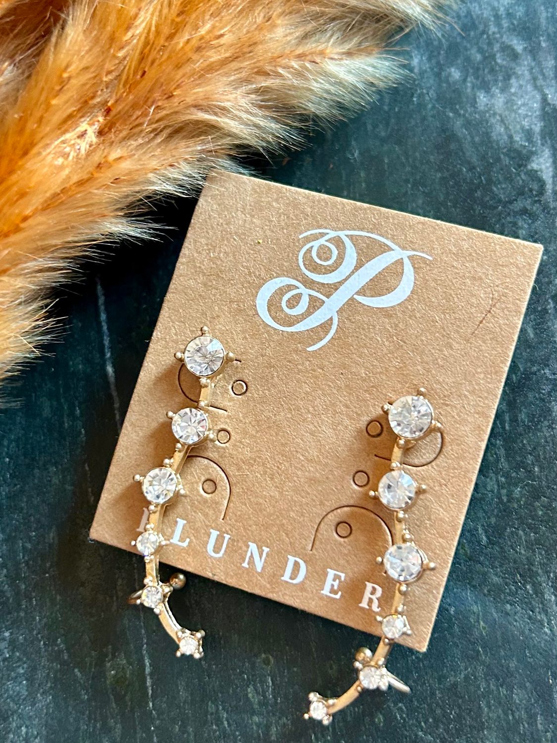 Ear Crawler Earrings
