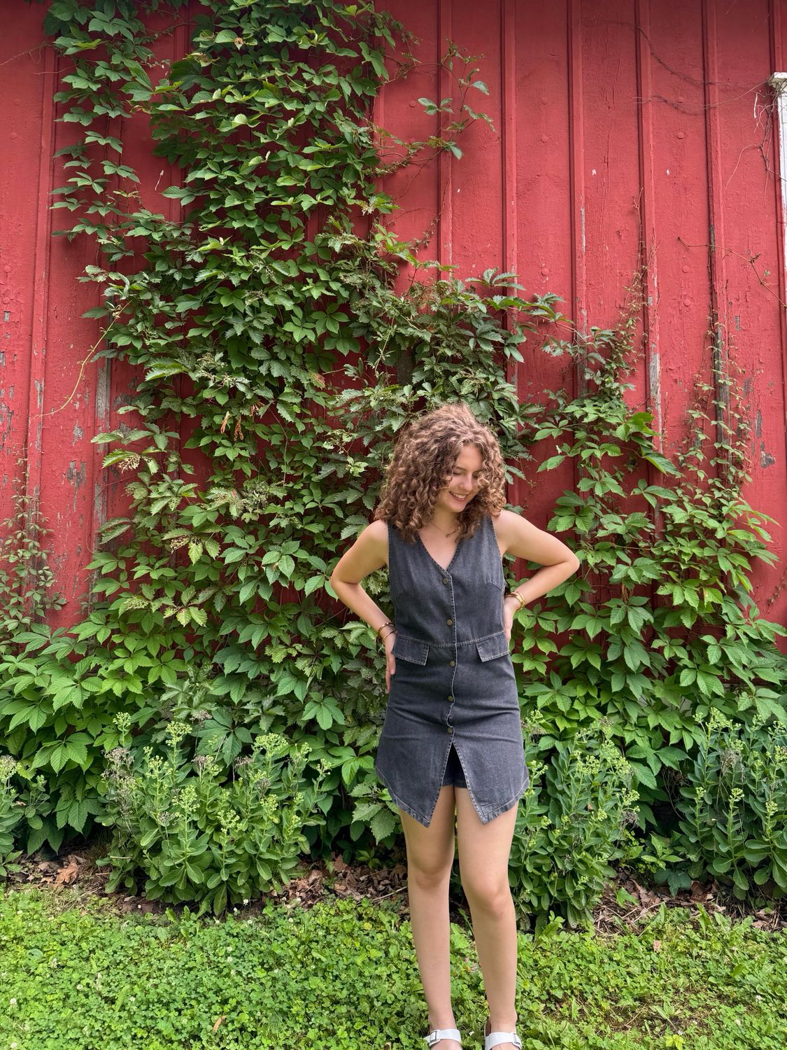Button Down Denim Vest Dress